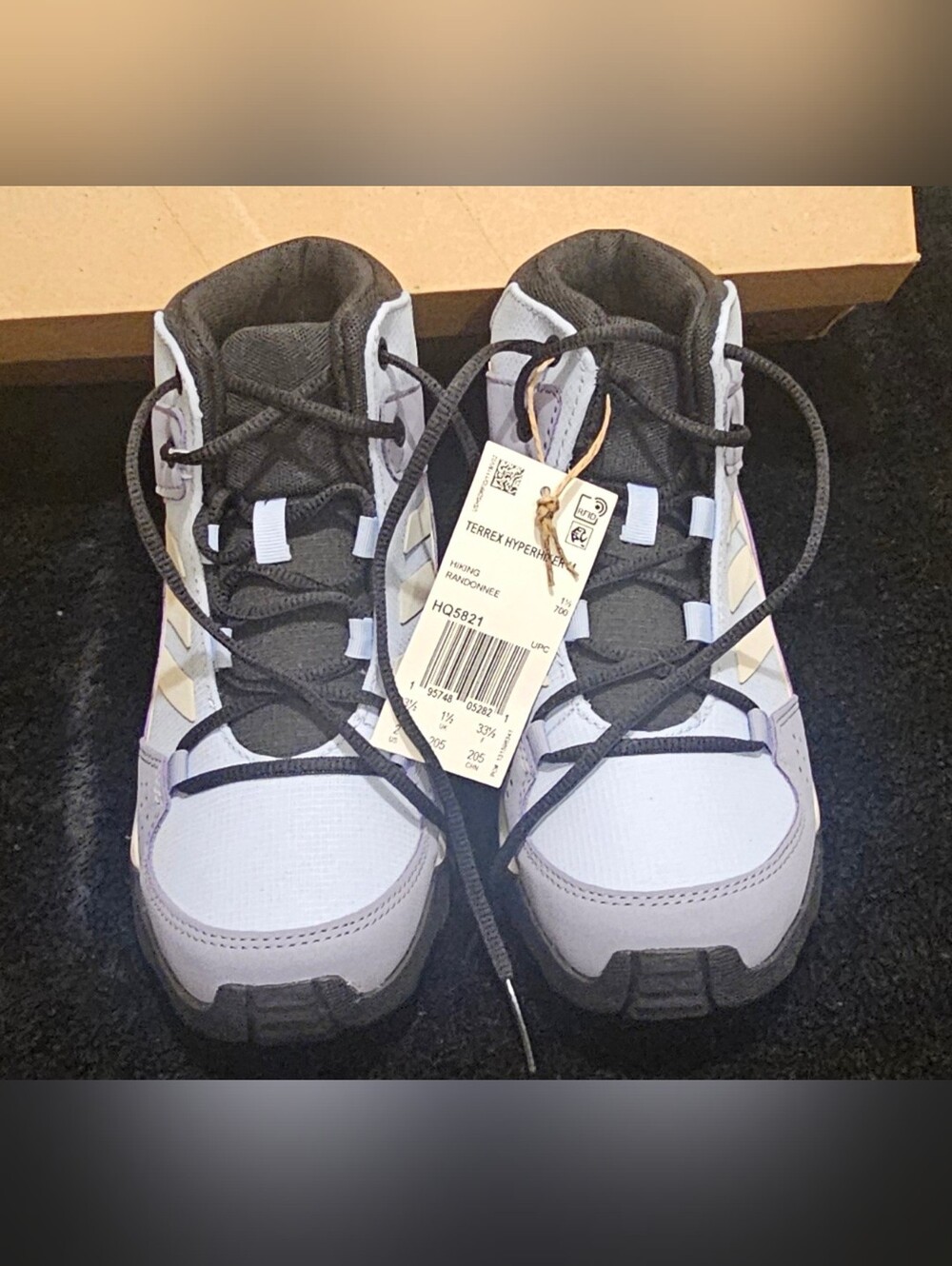 Adidas Terrex Hiking Boot